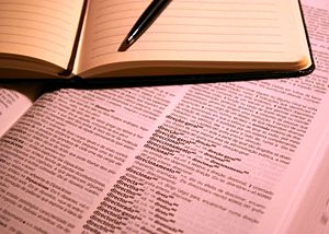 Dicionário Inglês Português On Line Dicionário Inglês Português On Line